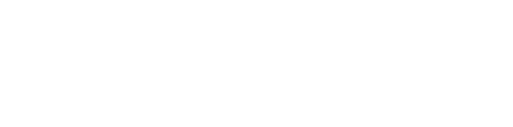 C-модель